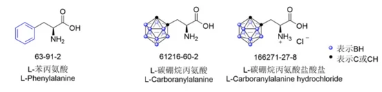 Structures of L-PhenylalanineL-Carboranylalanine and L-Carboranylalanine hydrochloride