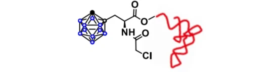 The structure of the translation initiation factor containing L-Carboranylalanine